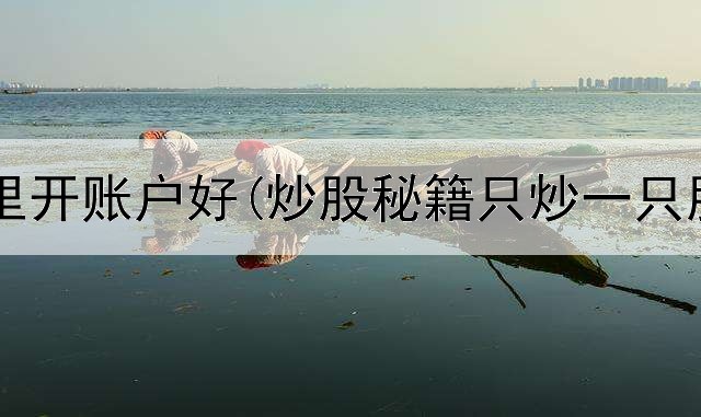  炒股去哪里开账户好(炒股秘籍只炒一只股怎么办)