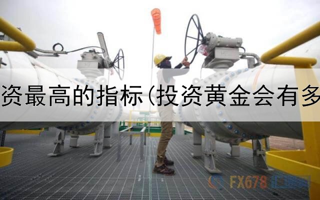  黄金投资最高的指标(投资黄金会有多少钱)