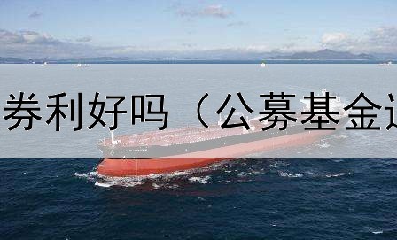  可转换公司债券利好吗（公募基金违约债券公告）