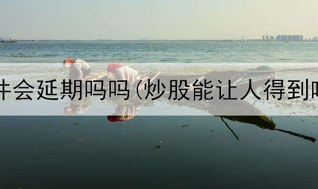  炒股软件会延期吗吗(炒股能让人得到啥启示)