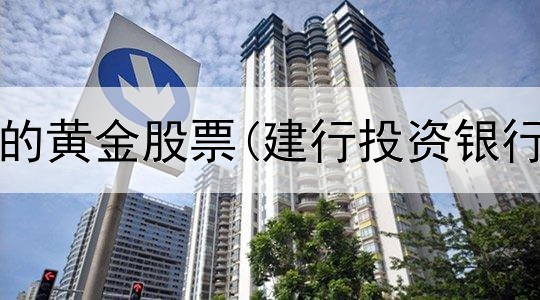  值得投资的黄金股票(建行投资银行黄金华)