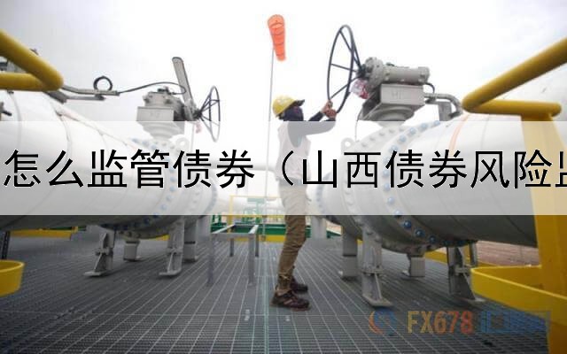  债券公司怎么监管债券（山西债券风险监测大屏）