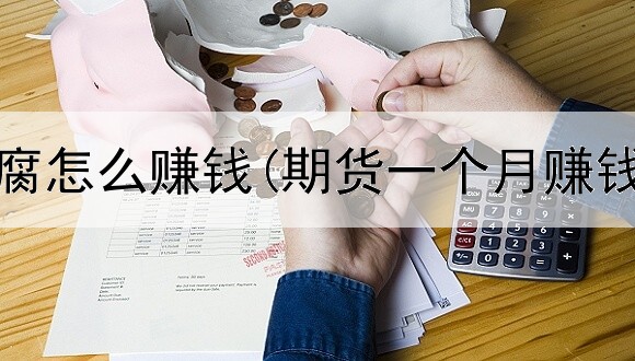  期货豆腐怎么赚钱(期货一个月赚钱多少)