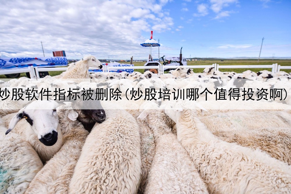 炒股软件指标被删除(炒股培训哪个值得投资啊)