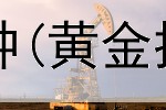  2千元投资黄金品种(黄金投资者乐观指数)