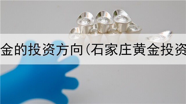  银行黄金的投资方向(石家庄黄金投资公司)