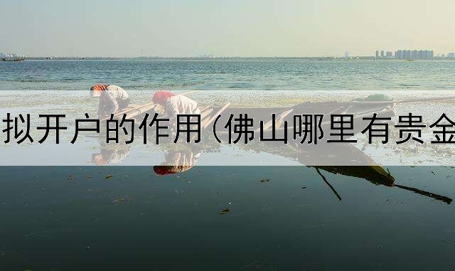  贵金属模拟开户的作用(佛山哪里有贵金属交易)