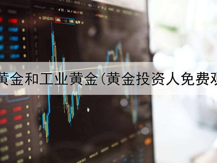  投资黄金和工业黄金(黄金投资人免费观看)