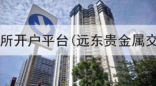  贵金属交易所开户平台(远东贵金属交易资金链)