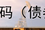  文山电力股票债券代码（债券基金是不是骗局呀）
