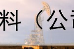  专项债券审计准备资料（公司可转换债券的计算）