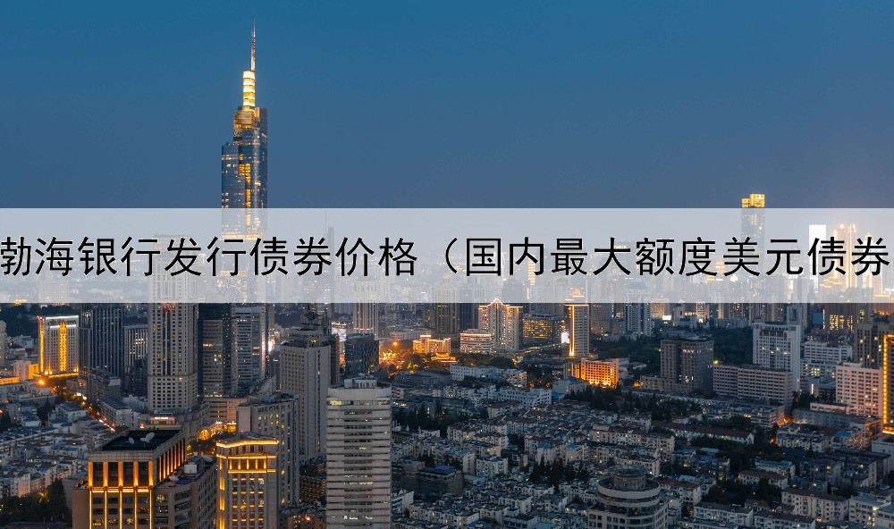  渤海银行发行债券价格（国内最大额度美元债券）
