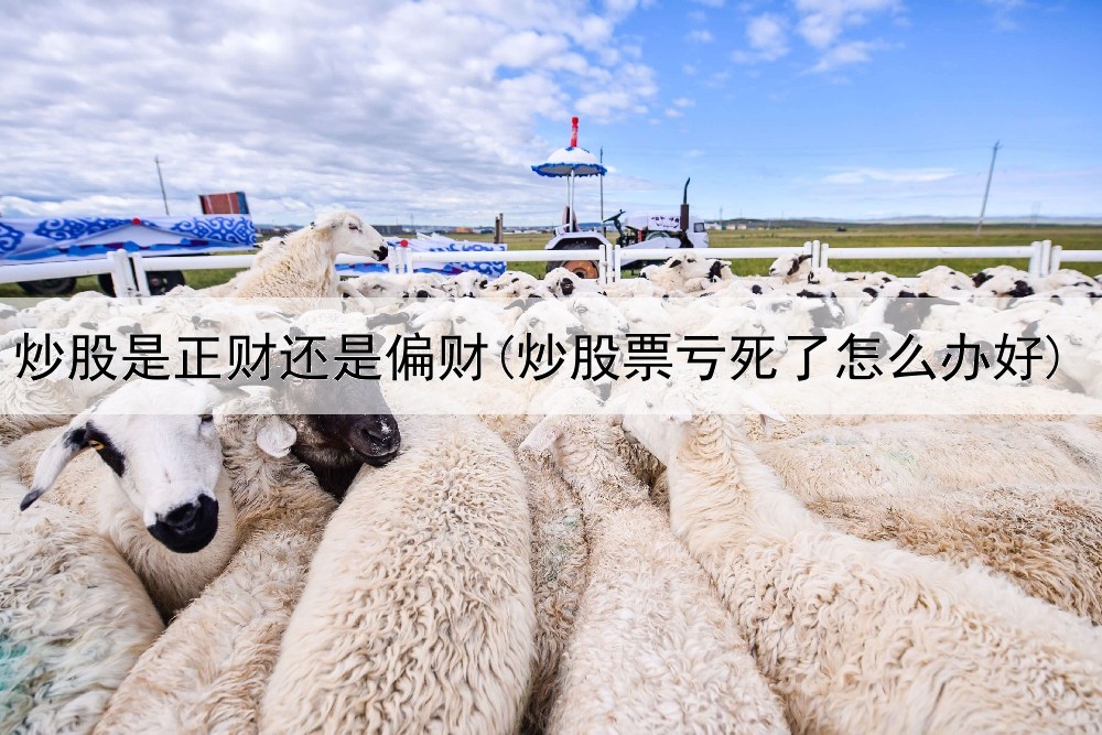  炒股是正财还是偏财(炒股票亏死了怎么办好)
