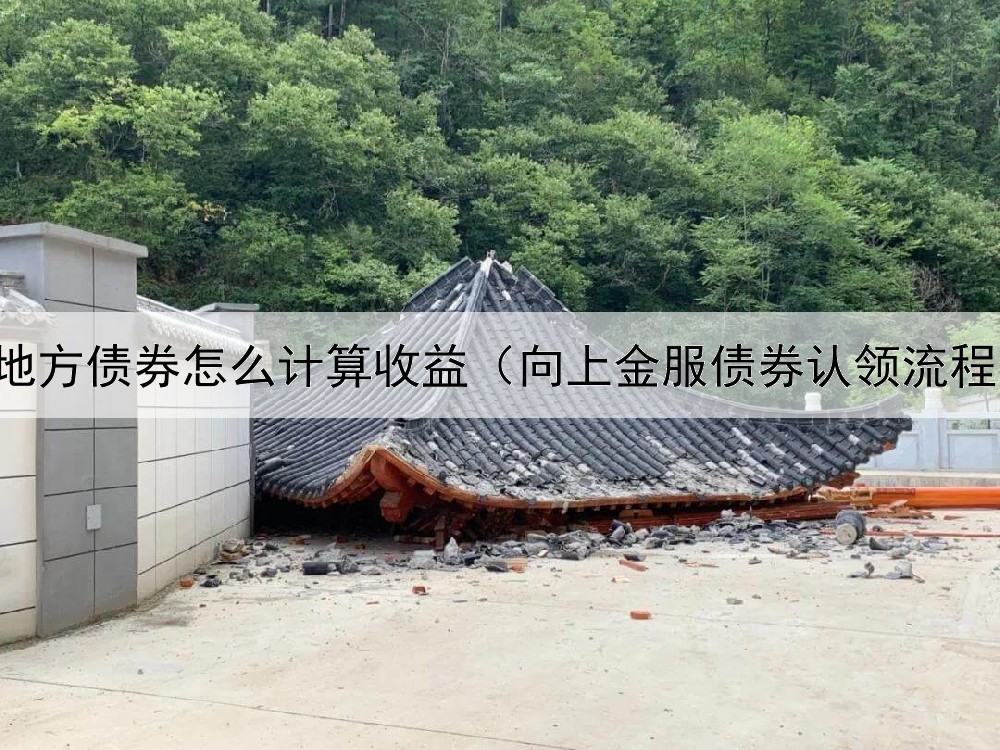  地方债券怎么计算收益（向上金服债券认领流程）