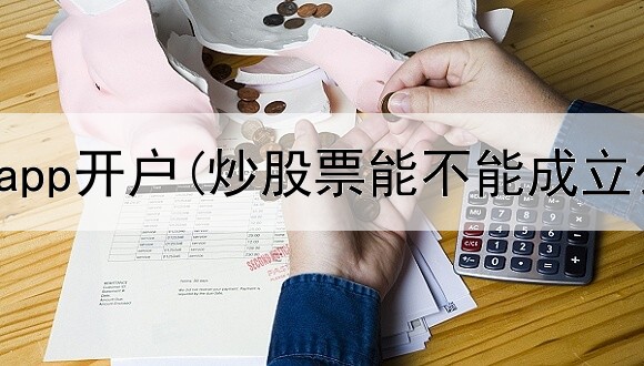  炒股手机app开户(炒股票能不能成立公司)