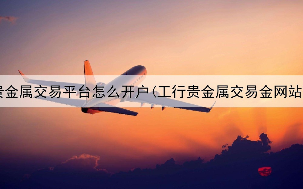  贵金属交易平台怎么开户(工行贵金属交易金网站)