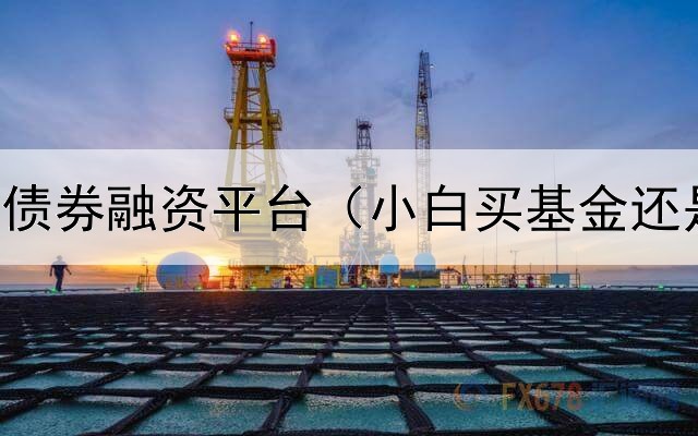  上海民营债券融资平台（小白买基金还是债券好）