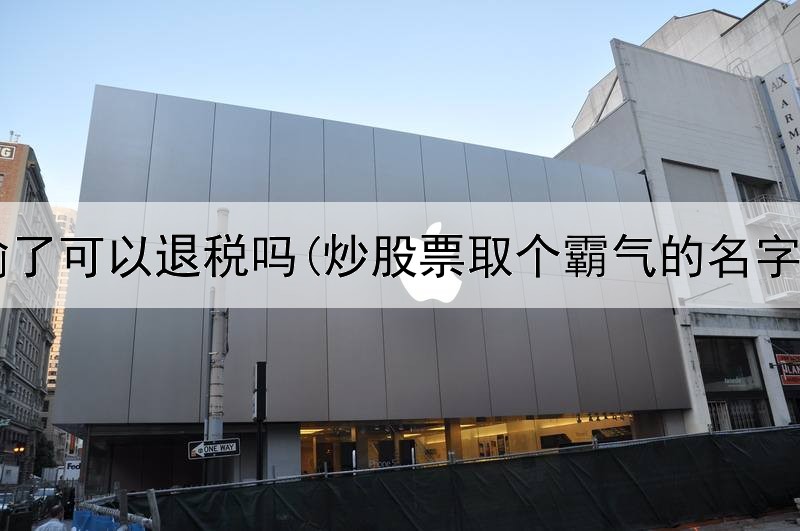  炒股输了可以退税吗(炒股票取个霸气的名字大全)