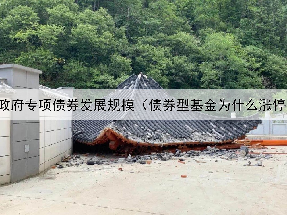  政府专项债券发展规模（债券型基金为什么涨停）