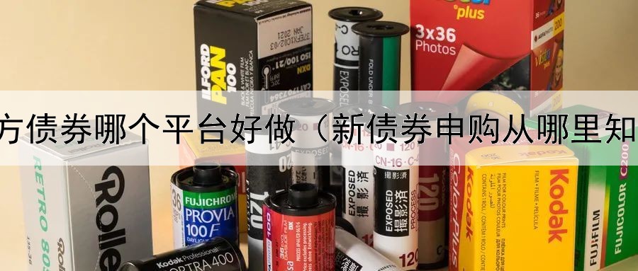  地方债券哪个平台好做（新债券申购从哪里知道）
