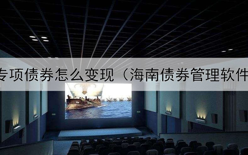  政府专项债券怎么变现（海南债券管理软件搜索）