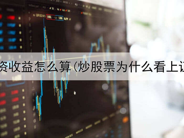  炒股投资收益怎么算(炒股票为什么看上证指数)