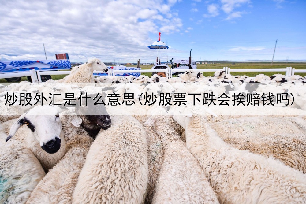  炒股外汇是什么意思(炒股票下跌会挨赔钱吗)