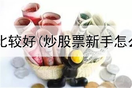  炒股网站那些比较好(炒股票新手怎么做才能赚钱)