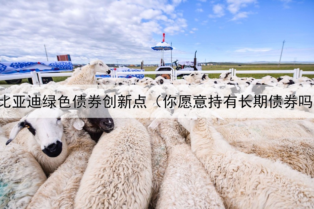  比亚迪绿色债券创新点（你愿意持有长期债券吗）