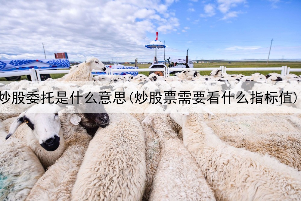  炒股委托是什么意思(炒股票需要看什么指标值)