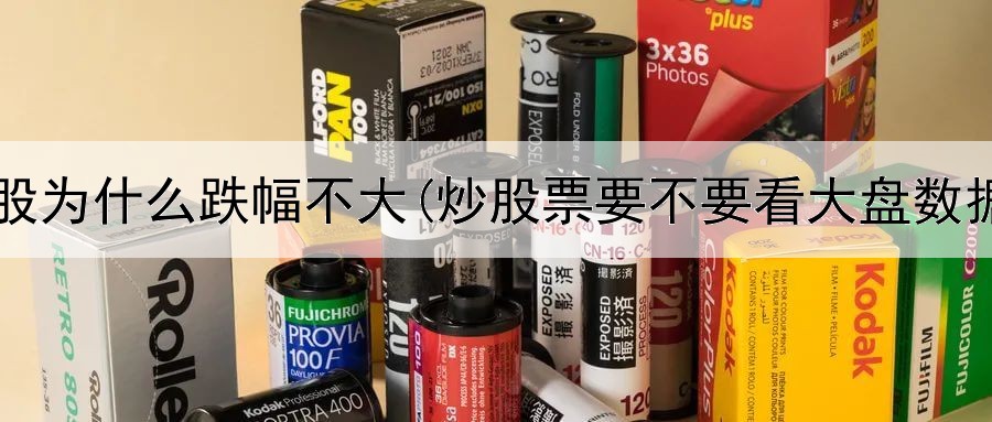  炒股为什么跌幅不大(炒股票要不要看大盘数据)