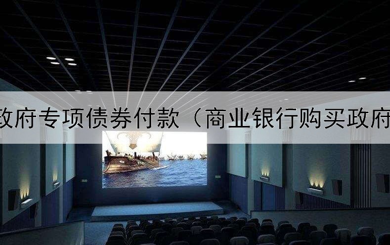  使用政府专项债券付款（商业银行购买政府债券）