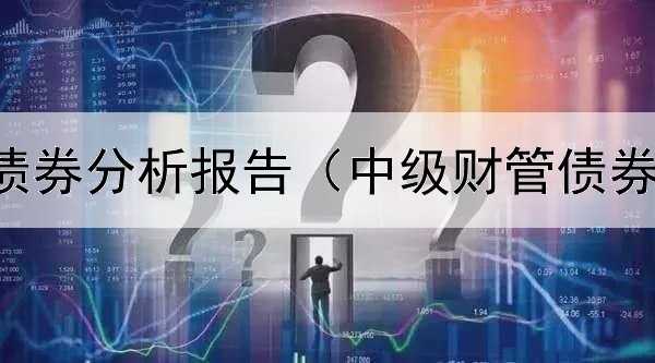  中信集团债券分析报告（中级财管债券价值例题）