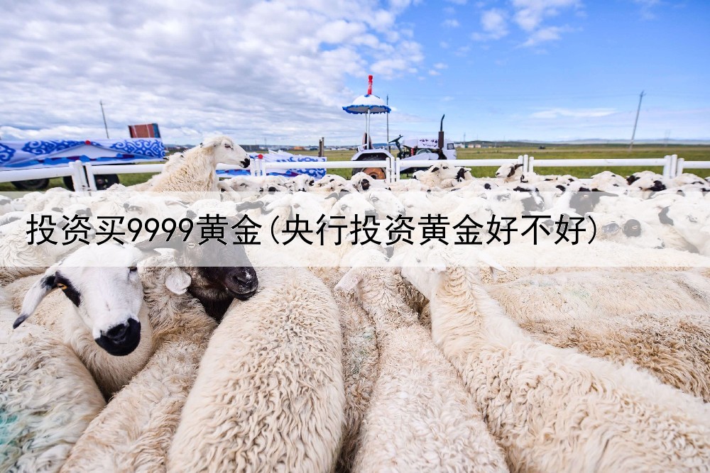  投资买9999黄金(央行投资黄金好不好)