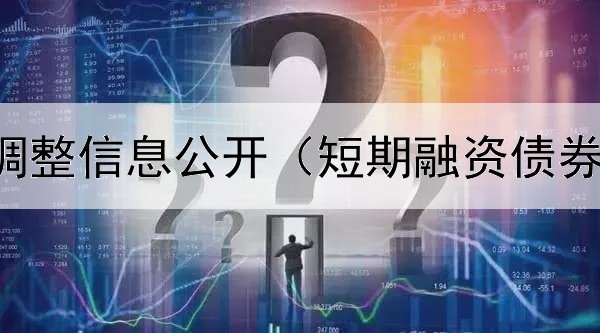  专项债券调整信息公开（短期融资债券是股票吗）
