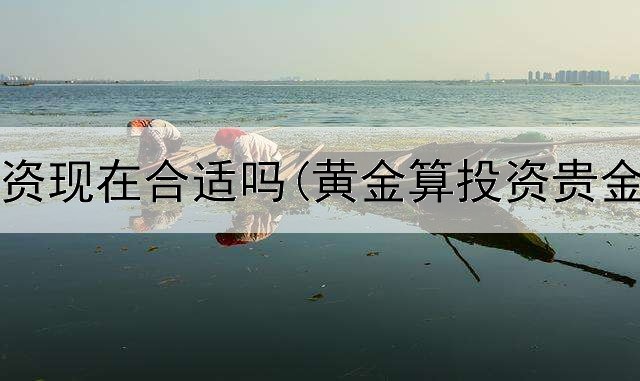  黄金投资现在合适吗(黄金算投资贵金属吗)
