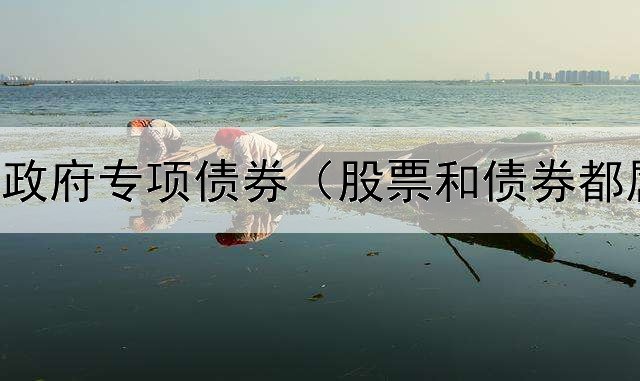  规范申报政府专项债券（股票和债券都属于投资）