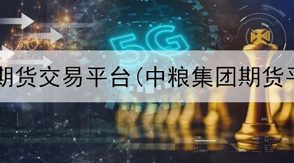  个人股指期货交易平台(中粮集团期货平台网址)