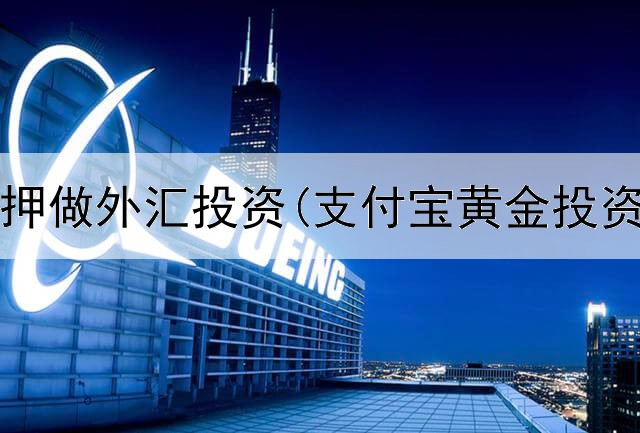  黄金抵押做外汇投资(支付宝黄金投资掉价)