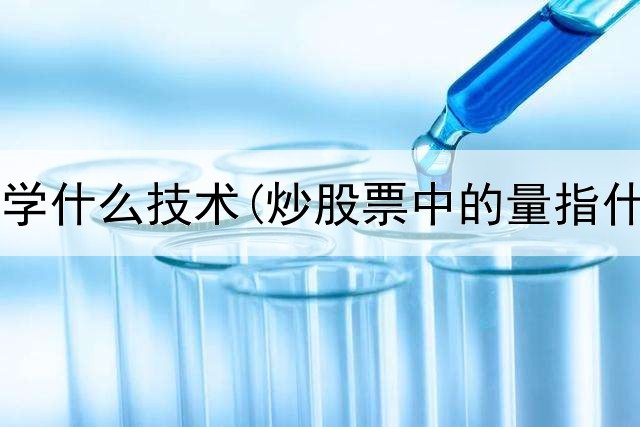  炒股新手学什么技术(炒股票中的量指什么意思)
