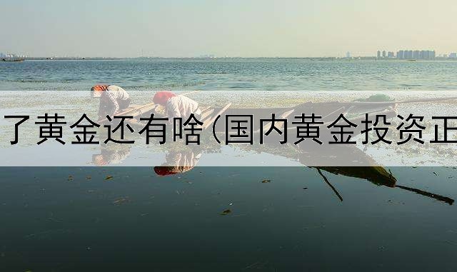  投资除了黄金还有啥(国内黄金投资正规吗)