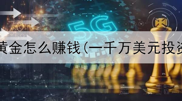  投资炒黄金怎么赚钱(一千万美元投资黄金)