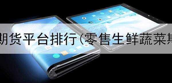  十大正规期货平台排行(零售生鲜蔬菜期货平台)