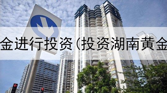  是否对黄金进行投资(投资湖南黄金怎么样)