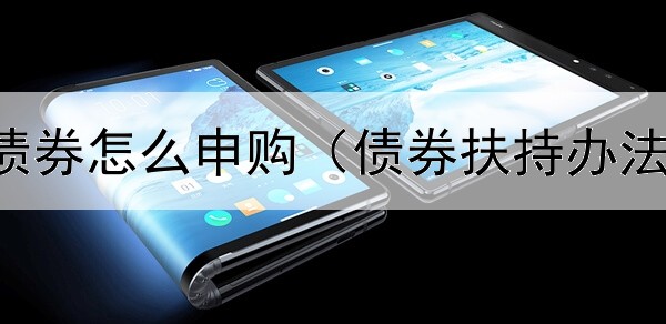  证券电脑债券怎么申购（债券扶持办法实施细则）