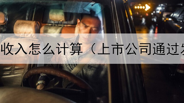  债券溢价收入怎么计算（上市公司通过发行债券）