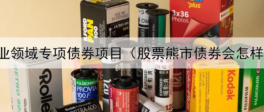  农业领域专项债券项目（股票熊市债券会怎样走）