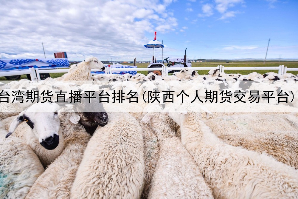  台湾期货直播平台排名(陕西个人期货交易平台)