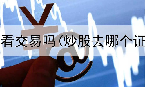  炒股要每天看交易吗(炒股去哪个证券公司好)