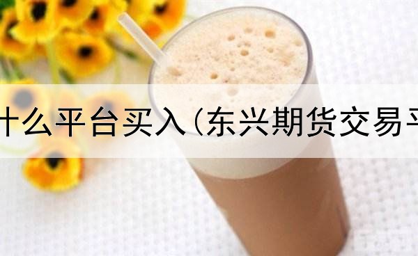  期货通过什么平台买入(东兴期货交易平台软件)